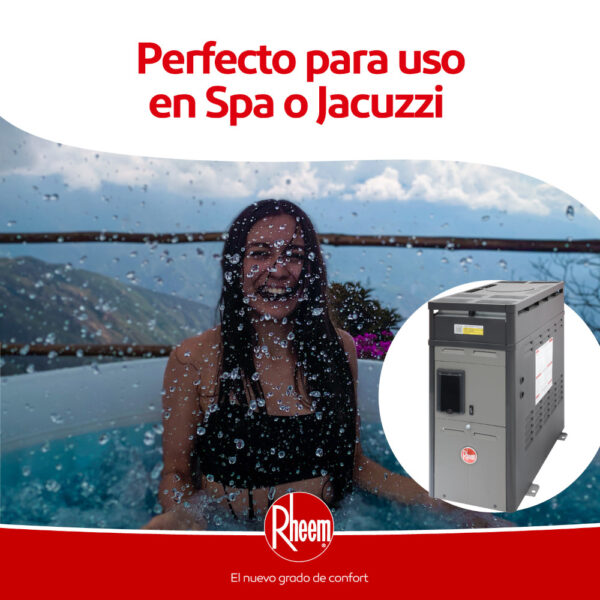 Calentador de piscina a gas M106 - M156 Rheem - Image 2
